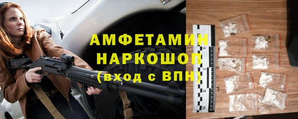 СК Алексин