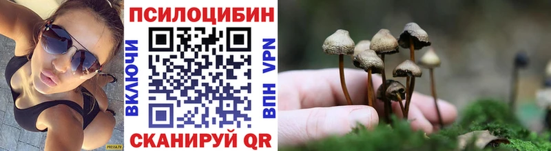Галлюциногенные грибы MAGIC MUSHROOMS  купить наркоту  Троицк 